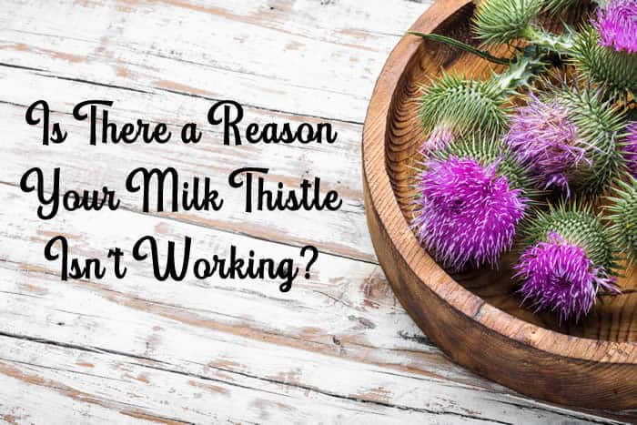 Why Isn't Your Milk Thistle Working? Learn About Phytosomes